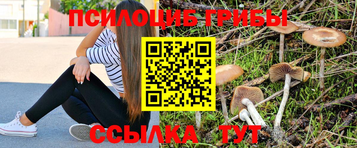 Галлюциногенные грибы Magic Shrooms Михайловск